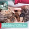 AniForte Fellgeruch-STOP für Hunde & Katzen 200 ml - Produktbild-Vorschau 5