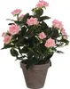 Mica Decorations Rosenstrauch Kunstpflanze im Blumentopf Produktbild-Vorschau 1