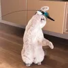 A light-colored cat stands on its hind legs, playing with a feather toy attached to a wand with a suction cup. Voir les images du produit