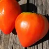 Fleischtomaten Oxheart (Ochsenherz) Samen - Solanum Produktbild-Vorschau 5