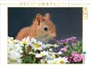 CALVENDO Puzzle Chibs das Blumenhörnchen | 1000 Teile Produktbild-Vorschau 2