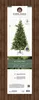 Künstlicher Weihnachtsbaum Allison Kiefer Ø 112cm H 180cm Produktbild-Vorschau 11