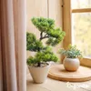 Bonsai Tekuté Hnojivo 1 L – 2-1-8 NPK – Pro Bonsai & Náhled obrázku produktu 6