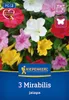 Kiepenkerl Wunderblume Jalapa Mix 3 Pflanzen Produktbild-Vorschau 1
