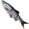 Savage Gear LB Roach Swim & Jerk - Gummifisch, Farbe:Roach Produktbild-Vorschau 9