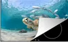 KitchenYeah© Herdabdeckplatte Schildkröte - Fisch - Meer , Produktbild-Vorschau 1