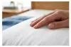 Housse de coussin, housse de coussin rafraîchissante, pour Voir les images du produit 2