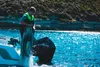Jobe Neopren Schwimmweste Herren Lindgrün Vest Men Produktbild-Vorschau 18