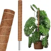 Deco4Home, oporná tyč z kokosového vlákna, 150 cm x 32 mm x Náhľad obrázku produktu 1