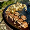 Die Schwenkgrill Feuerplatte - für Dreibein und Grillgalgen Produktbild-Vorschau 4