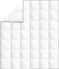 vidaXL Zimní péřová deka 200x220 cm Náhled obrázku produktu 1