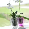 Kvetináč pre orchideu COUBI 16 cm priehľadný Náhľad obrázku produktu 7