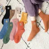 10 Paar Socken Größe 34-39 aus Baumwolle Mehrfarbig Damen Produktbild-Vorschau 2