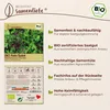 Samenliebe  Asia Salat Samen | 4 Sorten Mix - winterhart - Produktbild-Vorschau 3