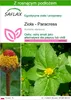 SAFLAX - Zioła - Paracress - 500 Nasiona - Z podłożem Podgląd zdjęcia produktu 1