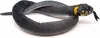 A stuffed toy snake coiled on a white background. Produktbild-Vorschau