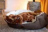 Nobby Plüsch Hund Schlappi, Maße: ca. 39 cm Produktbild-Vorschau 4