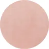 Tapis de salon moderne Lavable Doux Aspect fourrure Voir les images du produit 6
