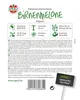 SPERLI Birnenmelonensamen Pepino Solanum muricatum 10 Produktbild-Vorschau 4