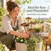 Topfstecker 5er Pilz-Gruppe, Edelrostoptik 3D, klein Produktbild-Vorschau 14