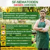 A man in an apron stands in a garden center with a collage of product information in front of him. Produktbild-Vorschau