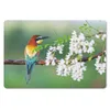 MuchoWow® Schreibtischunterlage Vogel - Bienenfresser - Produktbild-Vorschau 1