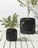 BELIANI Blumentopf 2er Set Schwarz Rattan mit Innentopf Produktbild-Vorschau 4