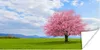 MuchoWow® Poster Sakura - Farben - Frühling 120x60 cm - Produktbild-Vorschau 1