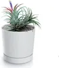 A white planter with a plant inside, set against a white background. Produktbild-Vorschau