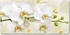 Tulup® Glas-Bild - 100x50 -Wandkunst - Wandbild hinter Produktbild-Vorschau 1