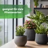 Blusana Langzeitdünger 400 ml Lewatit HD 50 Produktbild-Vorschau 4