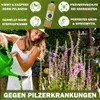 GreenPanda Acker-Schachtelhalm Jauche/Sud 3 Liter -  Dünger Produktbild-Vorschau 5