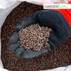 Wicke Samen Kletterplanze Gründüngung 5kg Vogelwicke Vicia Produktbild-Vorschau 2