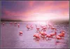 Wallario Wandbild Rosa Flamingos bei Sonnenuntergang, Produktbild-Vorschau 1