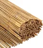 Faziango Schilfrohrmatte 80×600 cm Schilf Sichtschutzrolle Produktbild-Vorschau 1
