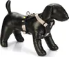 Beeztees Parinca Premium Y-Tuig - Hundegeschirr - Nylon - Produktbild-Vorschau 1