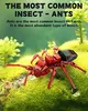 Kit de construction à emboîter « Insectes », 588 pièces, Voir les images du produit 10
