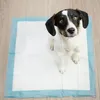 A dog sits on a disposable pet training pad on a wooden floor. Produktbild-Vorschau