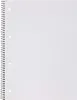 A blank sheet of paper from a spiral-bound notebook. Podgląd zdjęcia produktu
