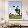 MuchoWow® - Leinwandbilder - Kühe - Gras - Tiere - Sonne - Produktbild-Vorschau 6
