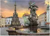 Dino Olomouc Podgląd zdjęcia produktu 1