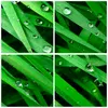 Wanduhr - Quadrat - Glasuhr - Natur Gras Wasser Tropfen - Produktbild-Vorschau 8