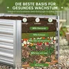 Verdego Hochbeet 120X60X60cm, Rechteckig, Aus Verzinktem Produktbild-Vorschau 7