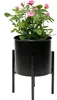 A potted pink rose plant sits on a black metal stand against a white background. Produktbild-Vorschau