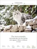 Literaturkalender Katzen 2027 Produktbild-Vorschau 7