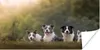 MuchoWow® Poster Vier Hunde in einer Reihe liegend 150x75 Produktbild-Vorschau 1