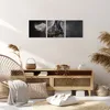 Bild auf Leinwand - Leinwandbild - Pferd Tier Natur - Produktbild-Vorschau 7