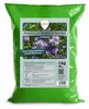 Phacelia Gründünger 1 kg Produktbild-Vorschau 1
