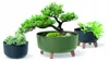 Vaso su gambe verde terra Gracia Low DGRL240L-5615C Anteprima dell’immagine prodotto 2