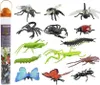 Safari Ltd Backyard Activity Bundle, Viacfarebný Náhľad obrázku produktu 1